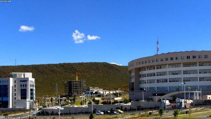 bt之家1lou站首页一楼磁力直达检索界面展示